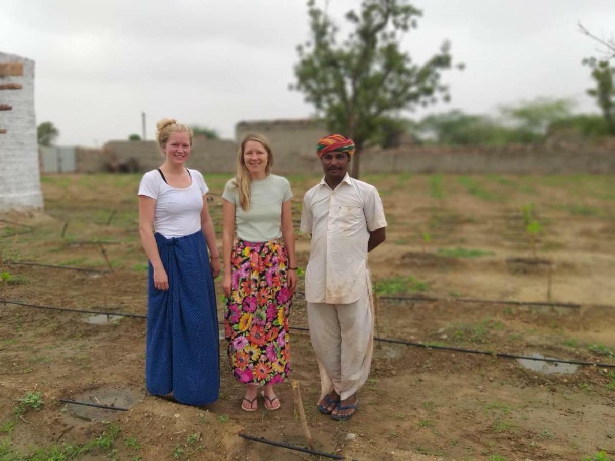 Bishnoi Village Home Stay Jodhpur  Esterno foto